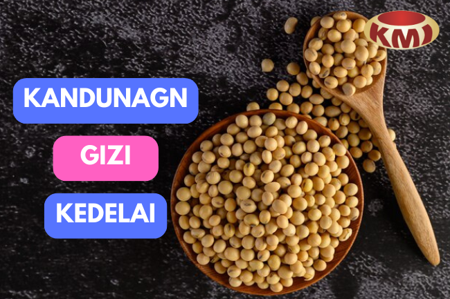 Beginilah Kandungan Gizi Pada Kedelai